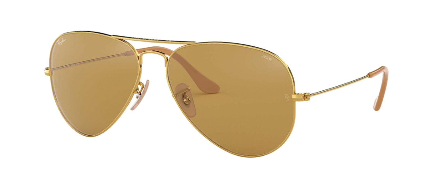 GOLD-BROWN PHOTOCHROMIC EVOLVE--8