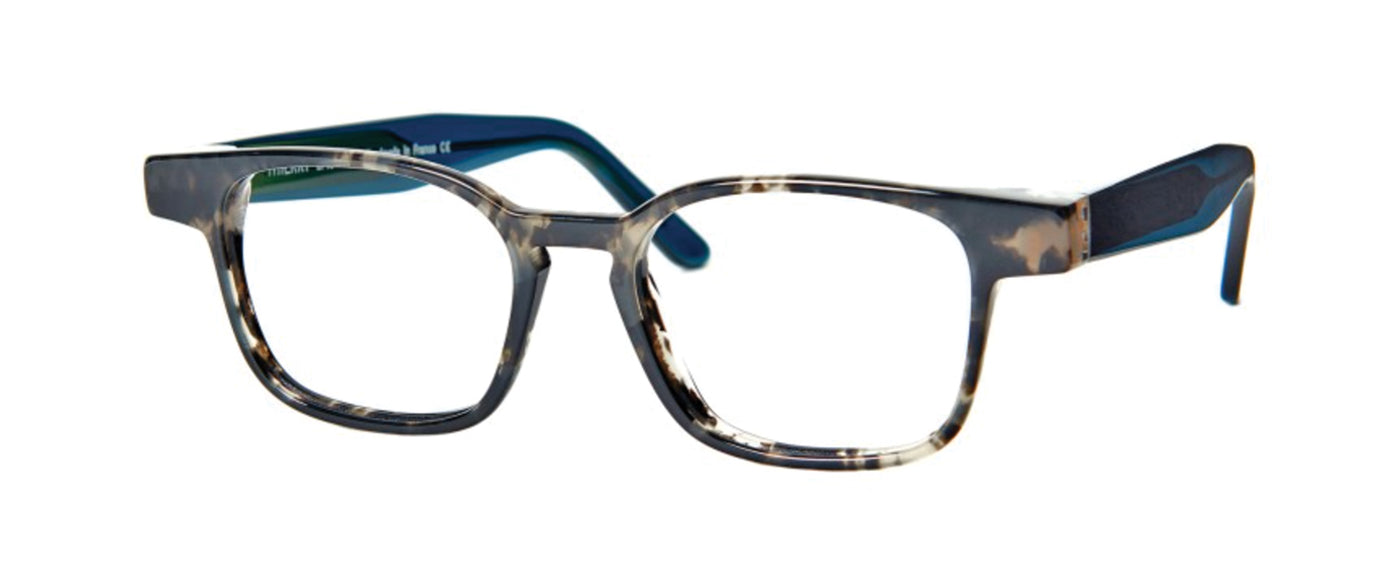 Grey Tortoise Shell--3