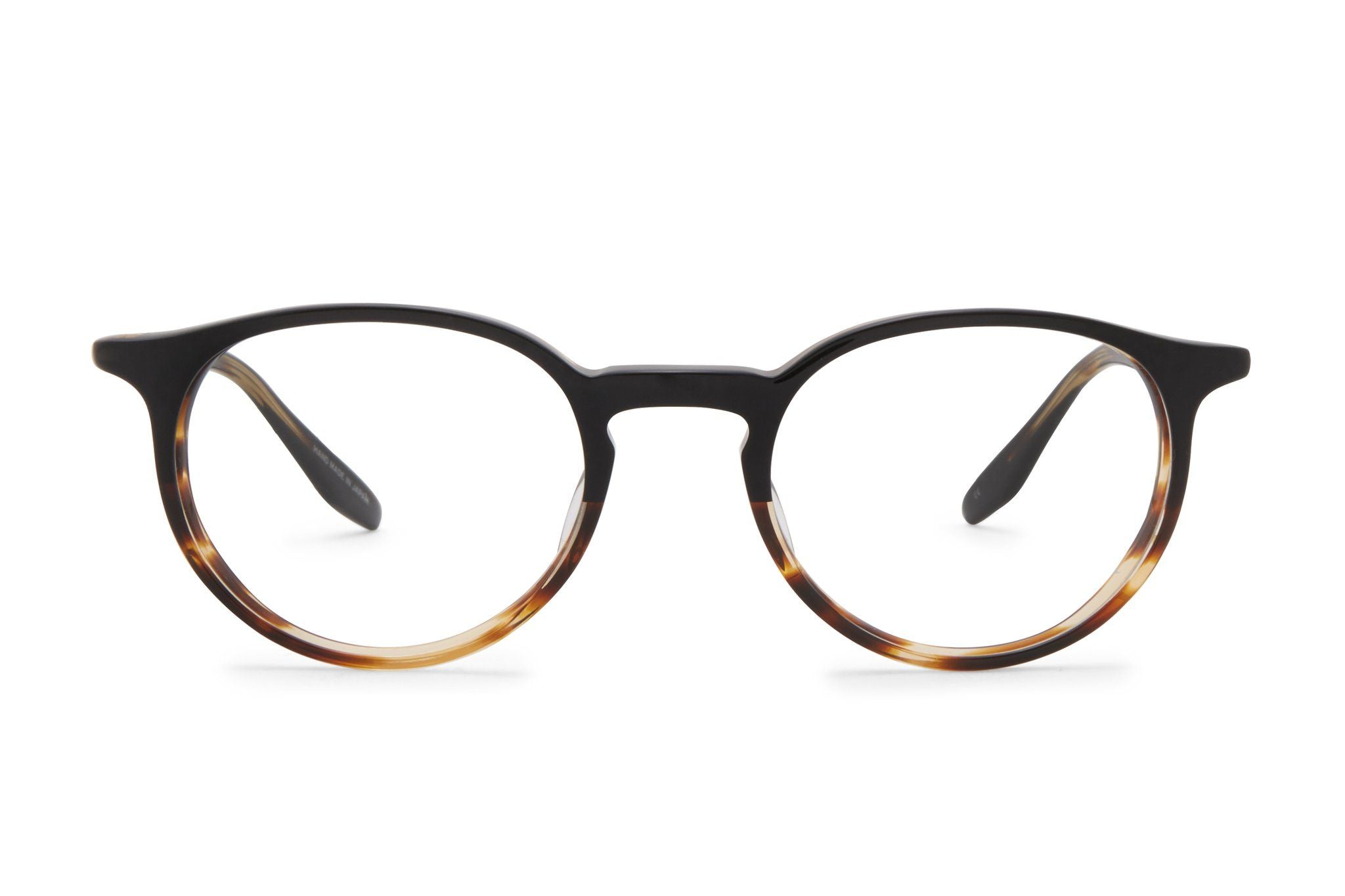 Raven Tortoise Gradient--27