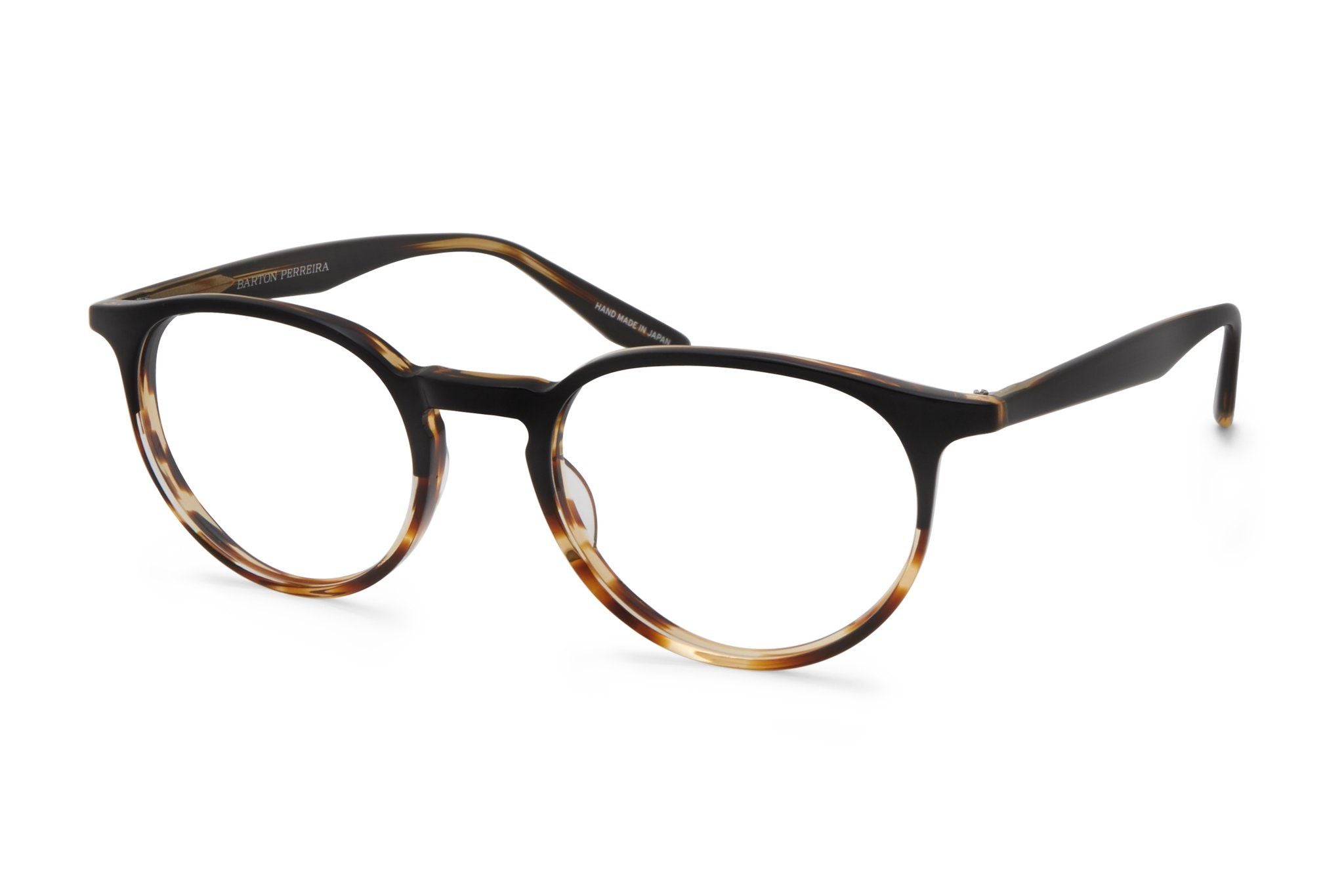 Raven Tortoise Gradient--26