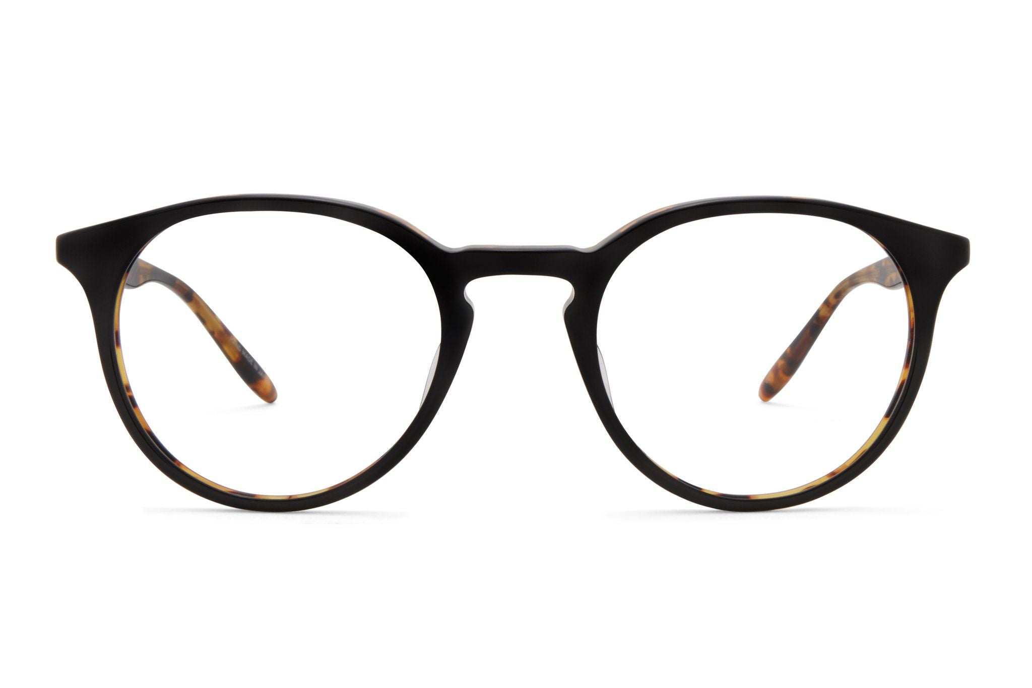 Black Amber Tortoise--1