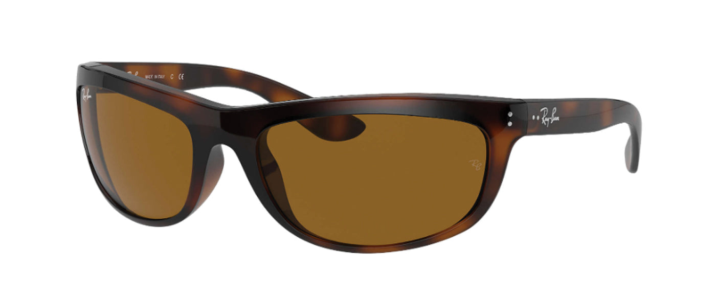 TORTOISE-BROWN CLASSIC B-15--4