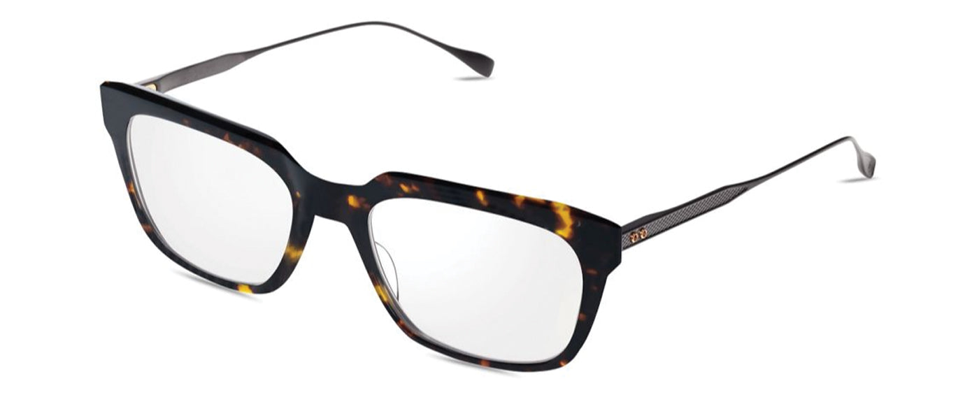 TortoiseGun Metal--4