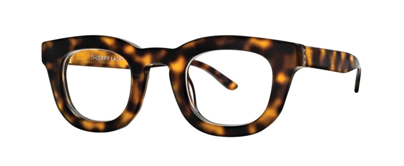 Tortoise Shell--4