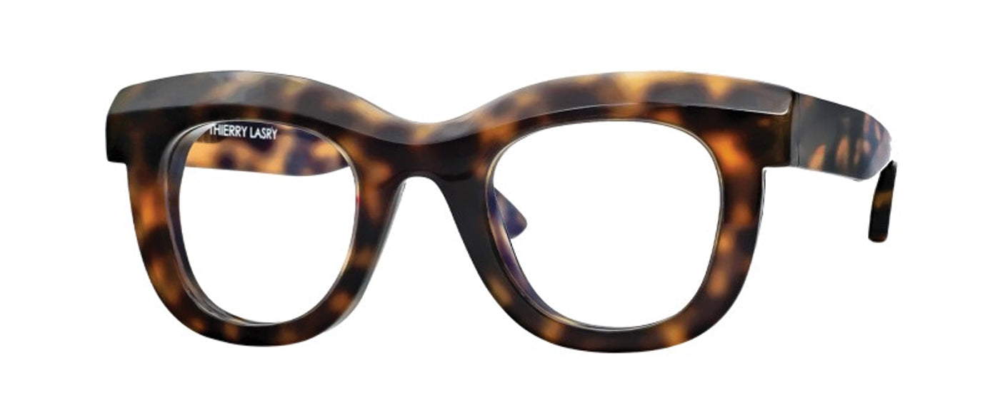 Tortoise Shell--3