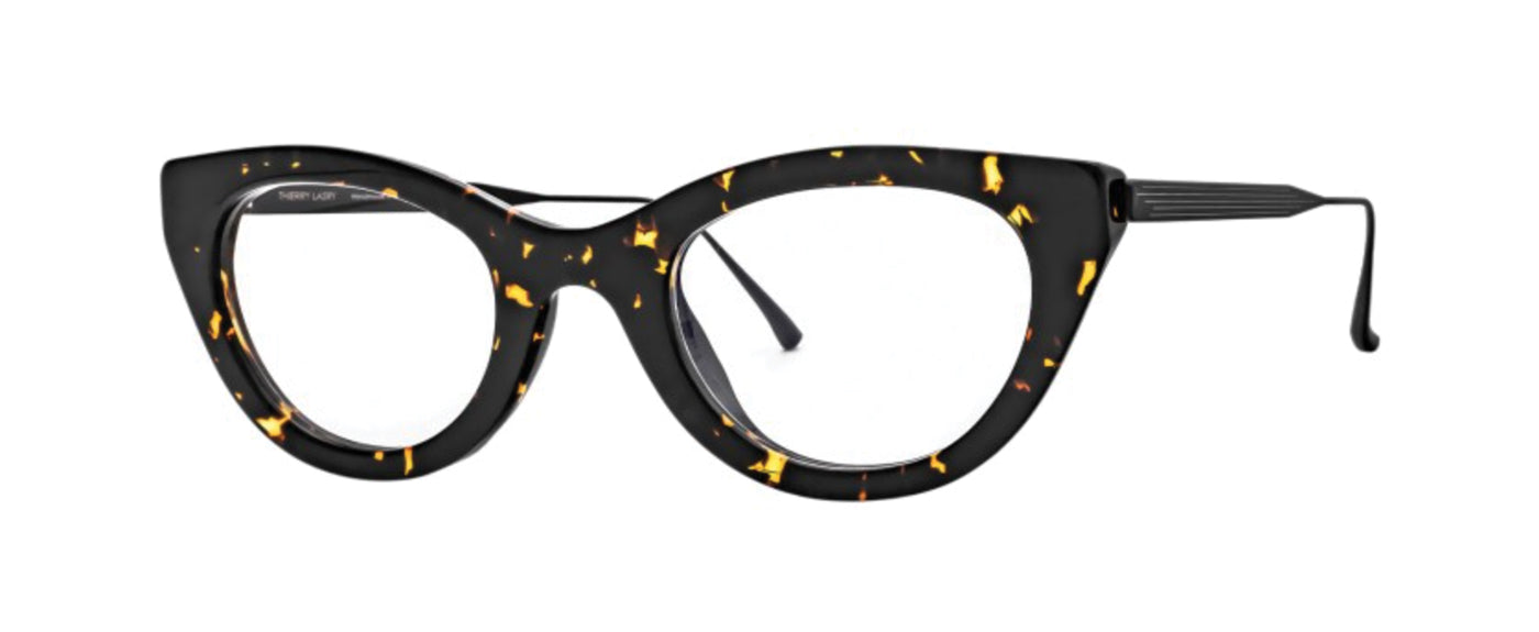 Tortoise Shell--4
