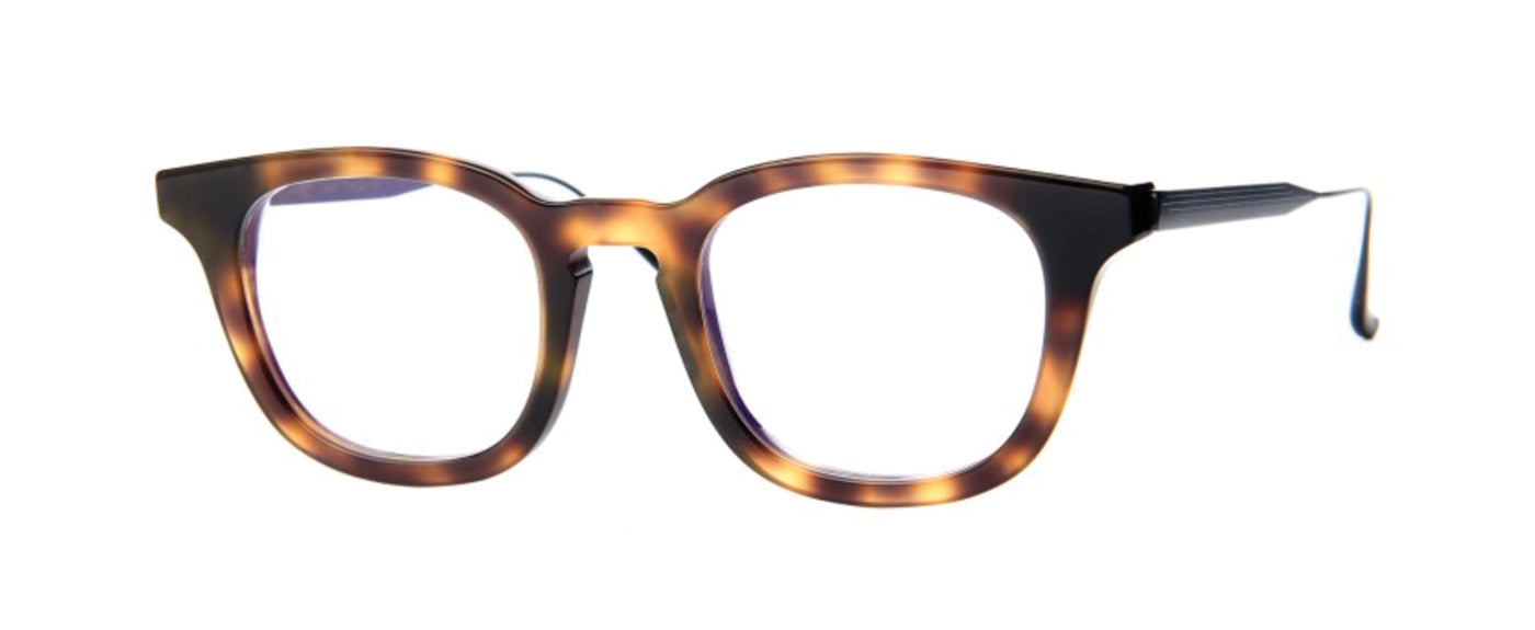 Tortoise Shell--4