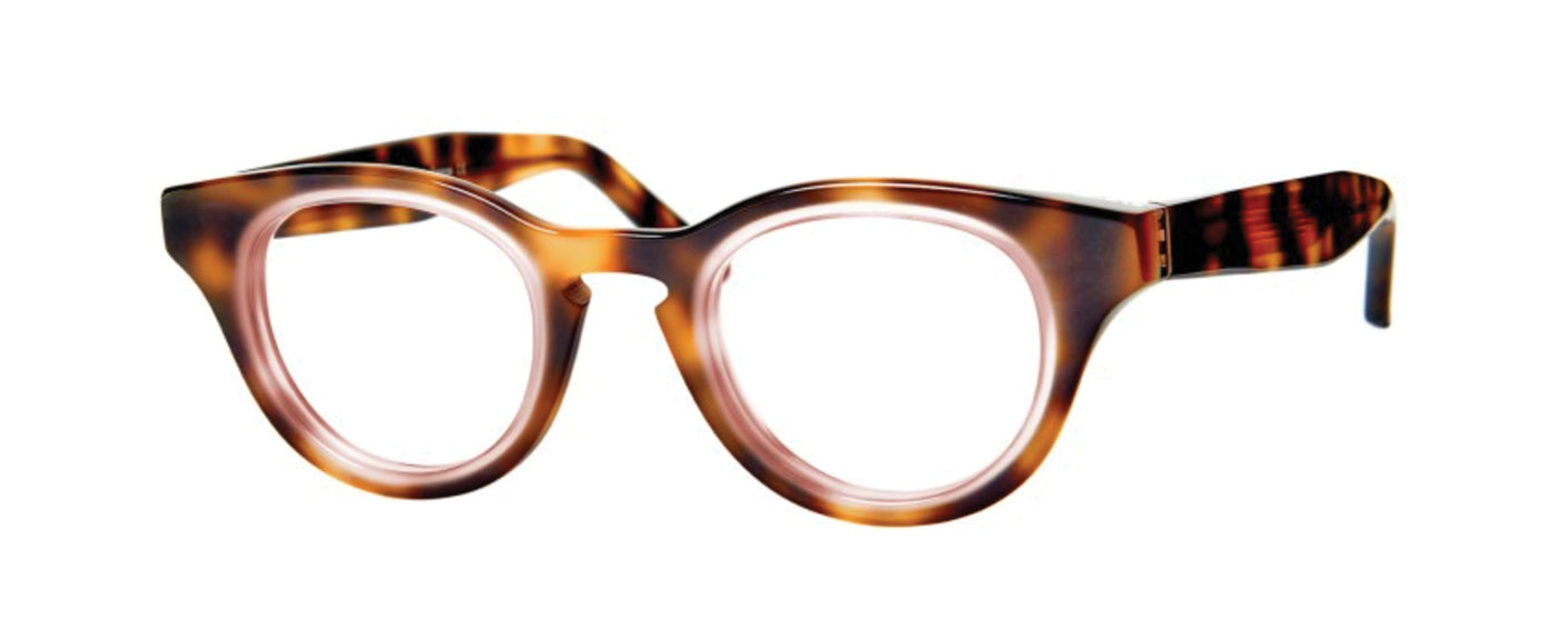 Tortoise Shell--3