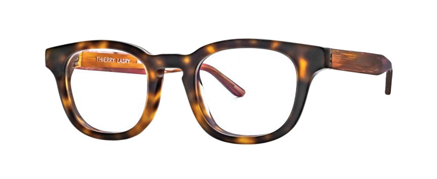 Tortoise Shell--4