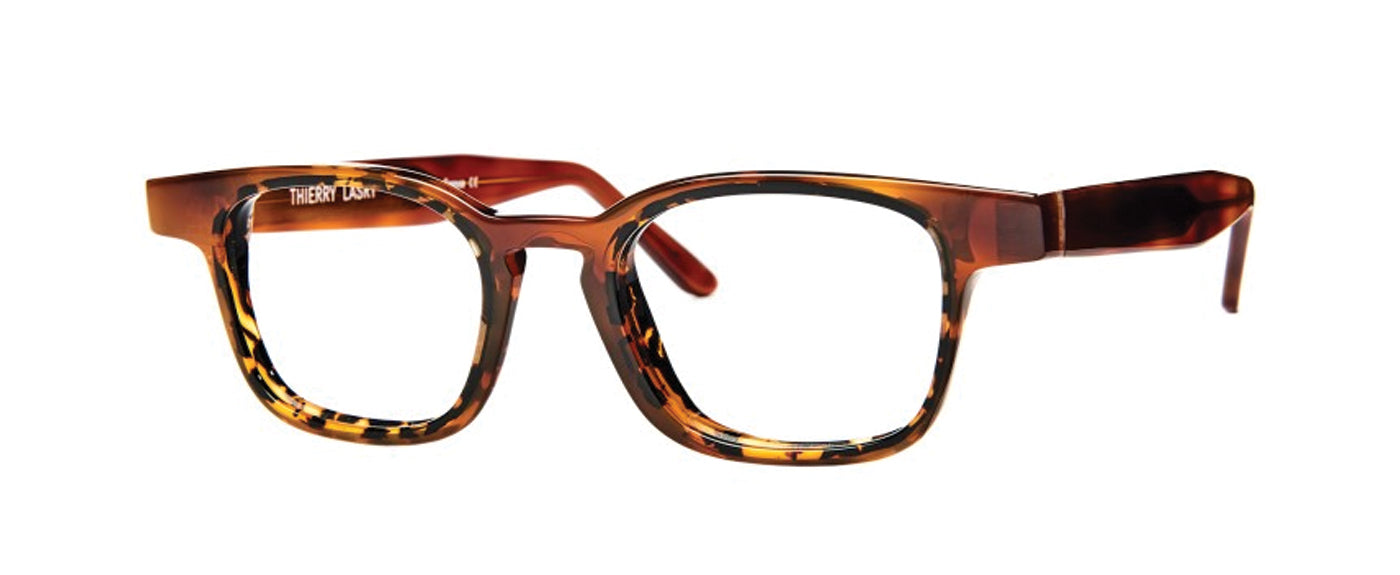 Tortoise Shell--3