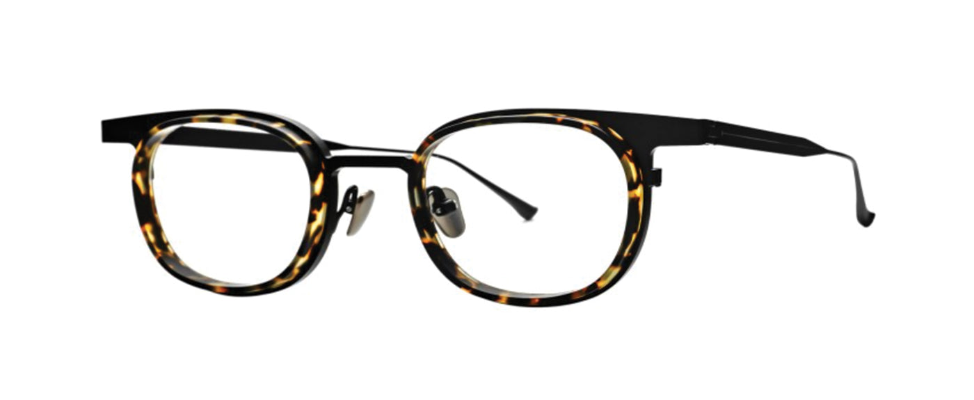 Tortoise Shell--1