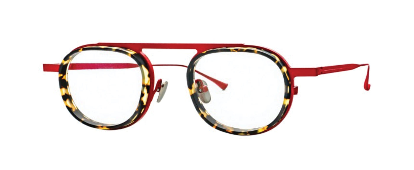 Tortoise Shell--5