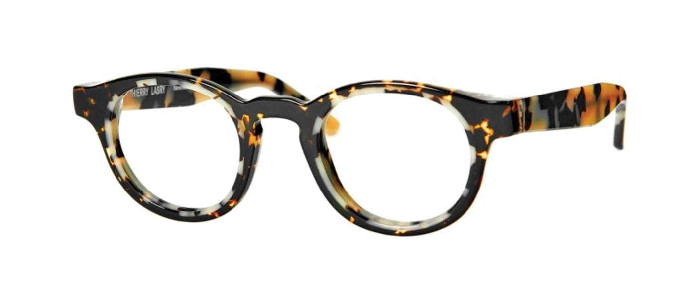 Tortoise Shell--4