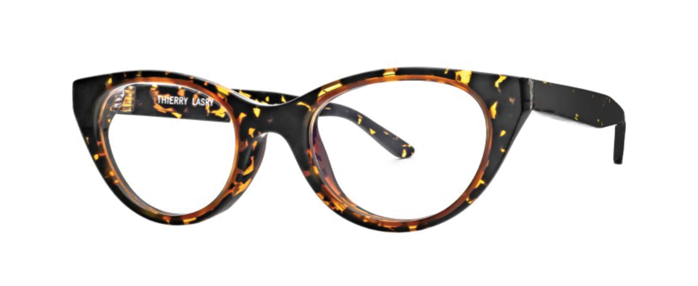 Tortoise Shell--2