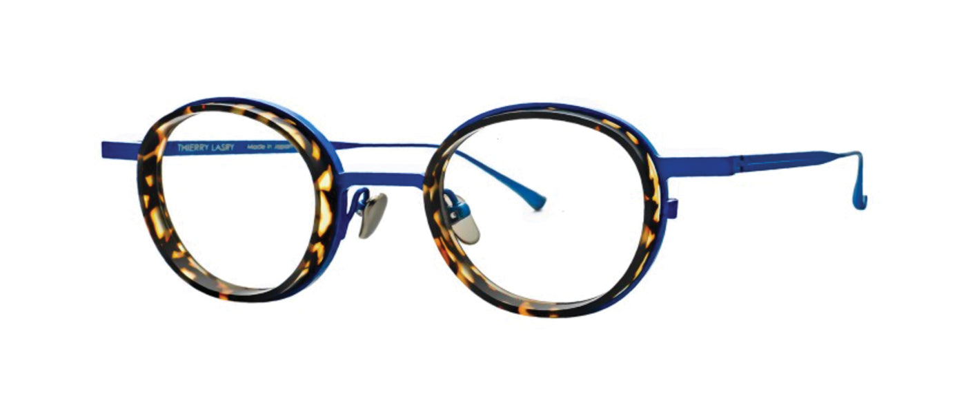 Tortoise Shell--2