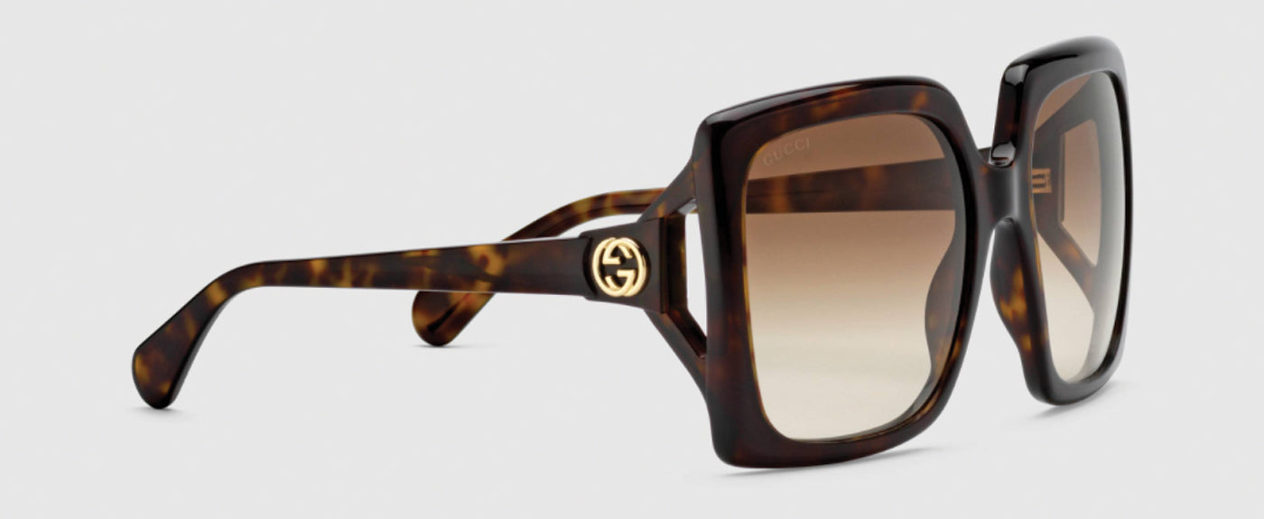 TORTOISESHELL AND BROWN--2