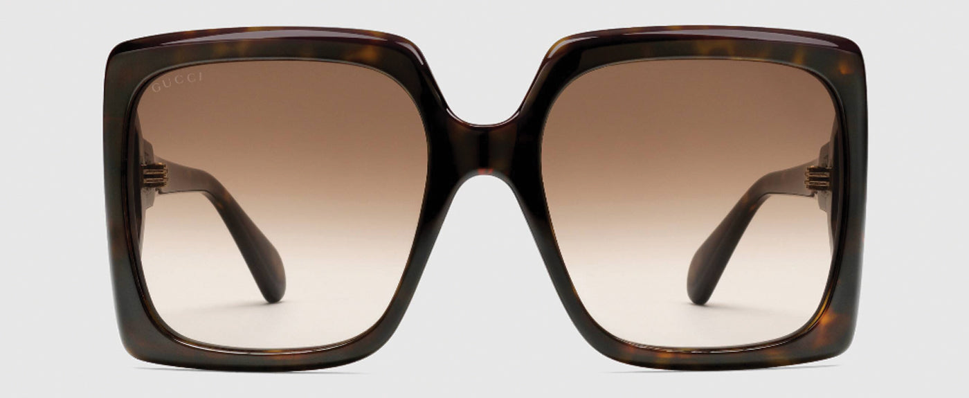 TORTOISESHELL AND BROWN