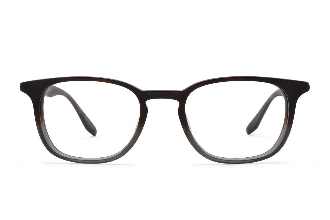 Tortoise Stone Gradient--17
