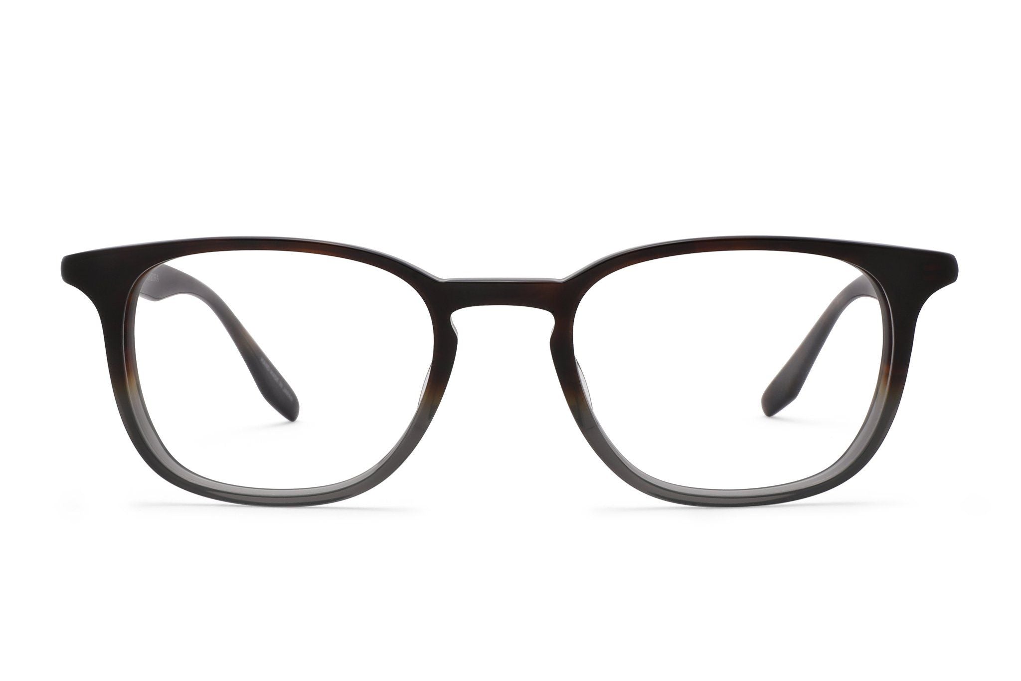 Tortoise Stone Gradient--17
