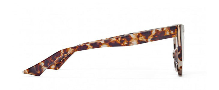 TortoiseGold--2