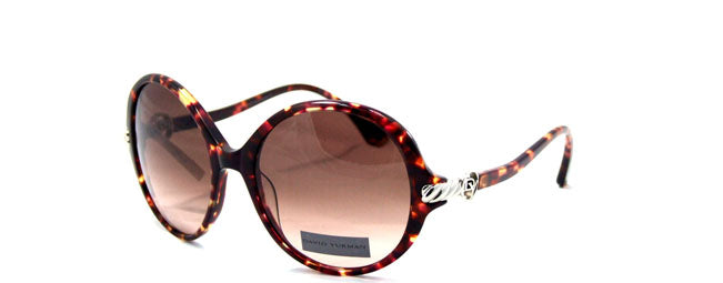 02 S Tortoise with Silver--2