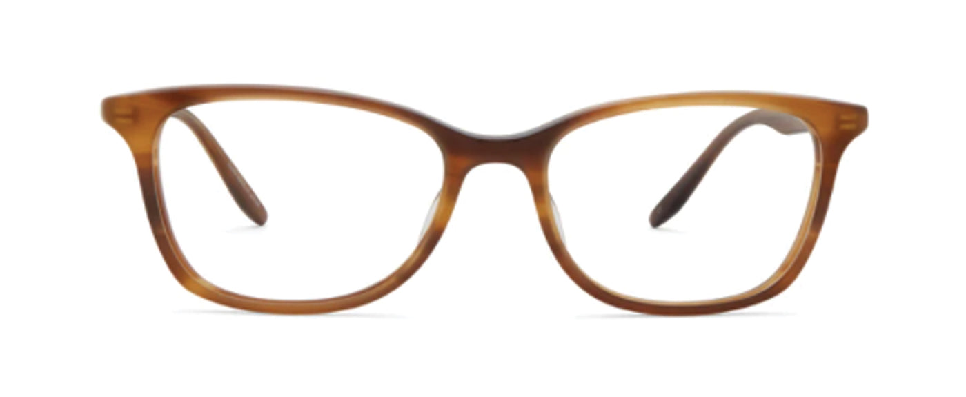 Umber Tortoise--5