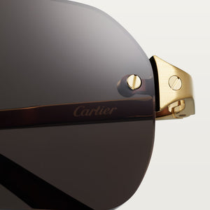 Santos De Cartier