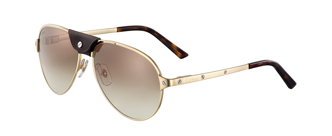 BRUSHED CHAMPAGNE GOLDEN-FINISH METAL GRADED BROWN LENSES