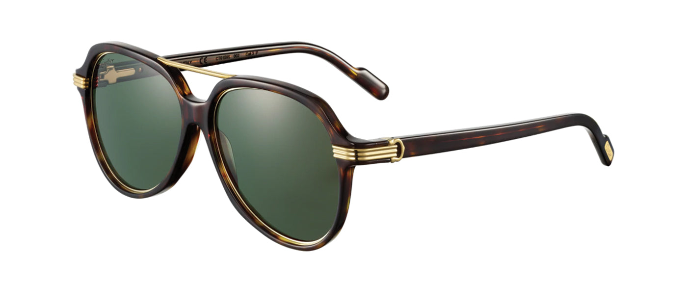 TORTOISESHELL COMPOSITE SMOOTH CHAMPAGNE GOLDEN-FINISH METAL GREEN POLARIZED LENSES