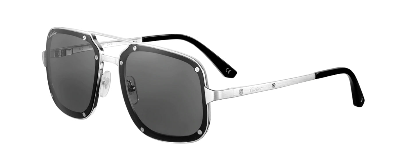 SMOOTH AND BRUSHED PLATINUM-FINISH METAL GRAY LENSES