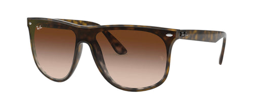 TORTOISE-BROWN GRADIENT