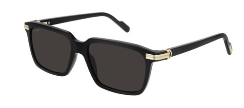 Black/Gold
